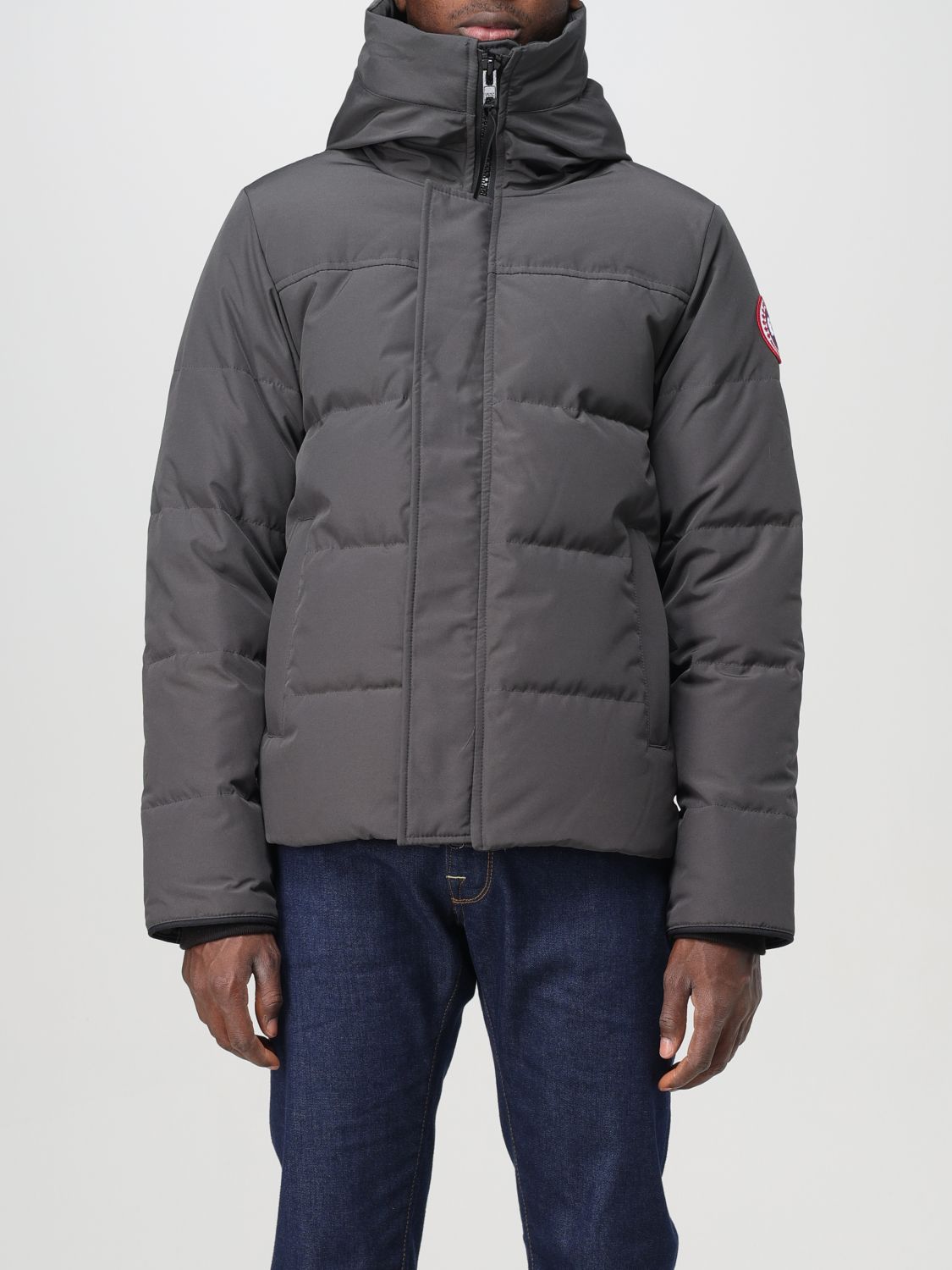 Shop Canada Goose Jacket  Men Color Grey In Grau