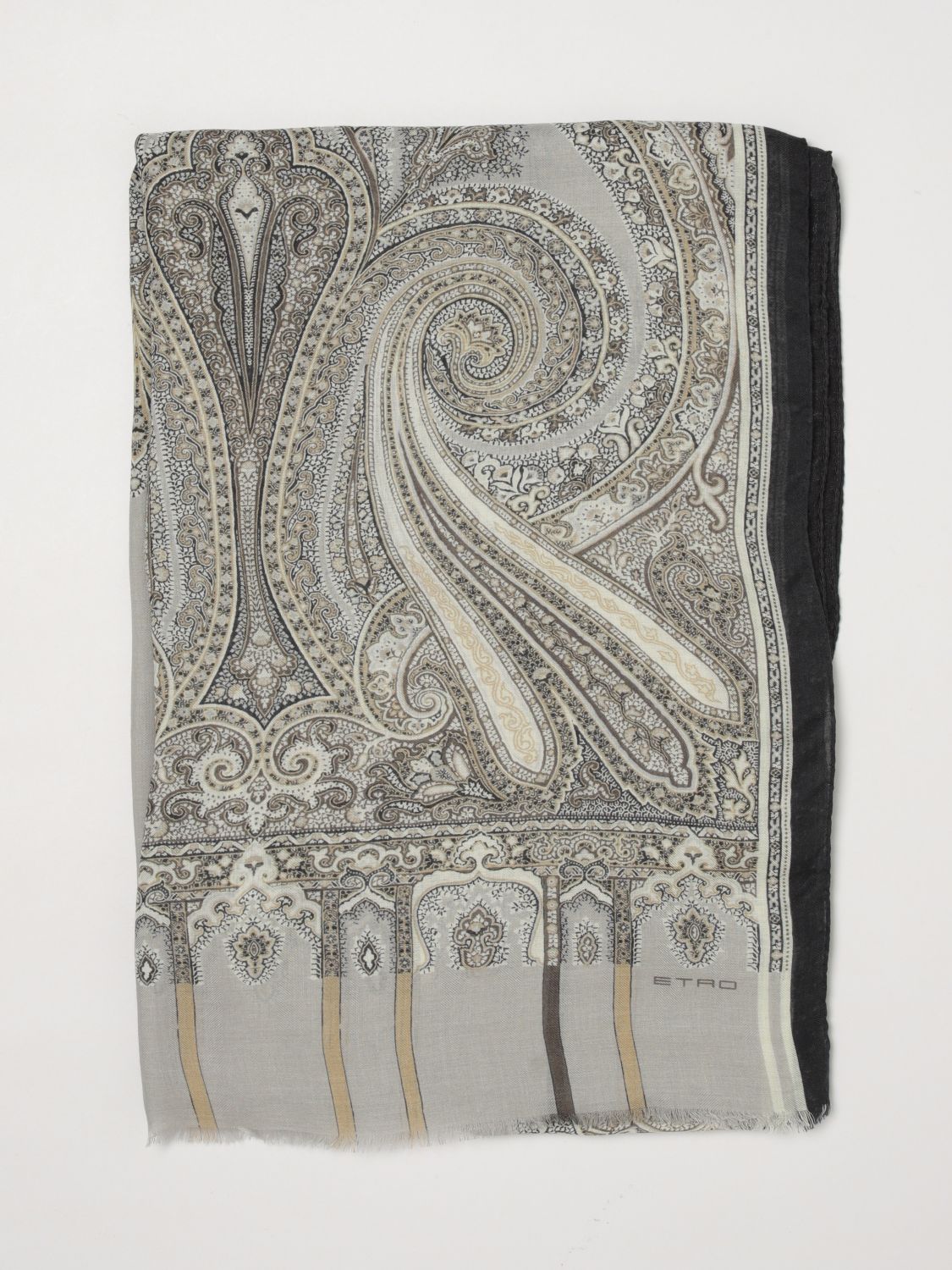 Etro Scarf in Grey
